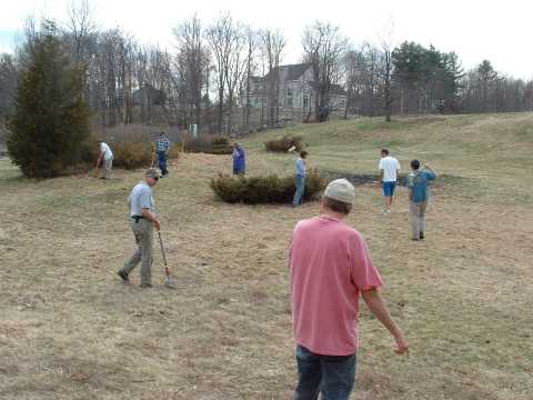 Bumblebee Park - The Hill