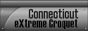 extremecroquet.org