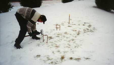 Placing A Wicket